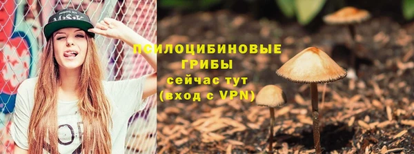 МДПВ Абаза