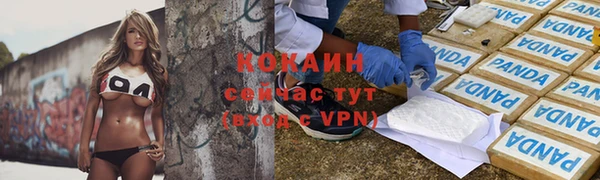 МДПВ Абаза